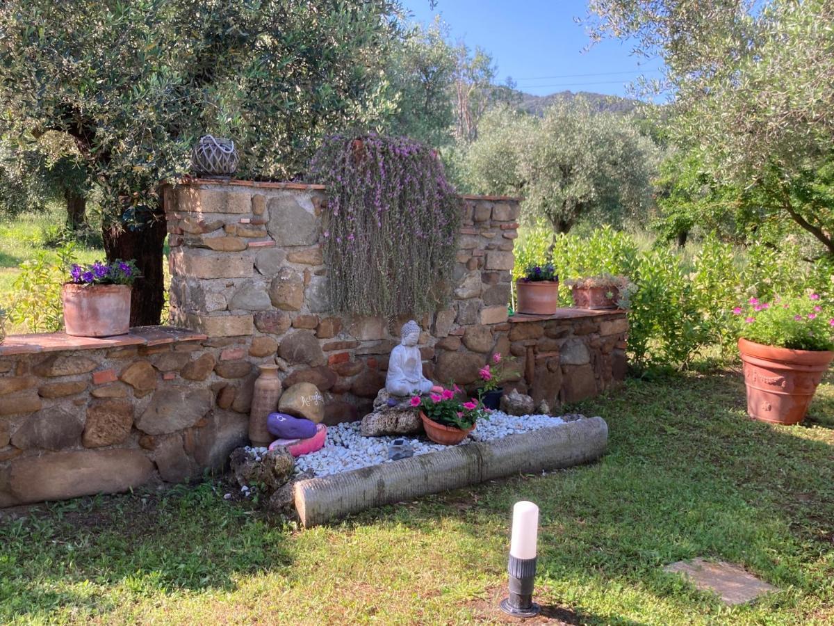 Agriturismo Buen Camino Scarlino Luaran gambar