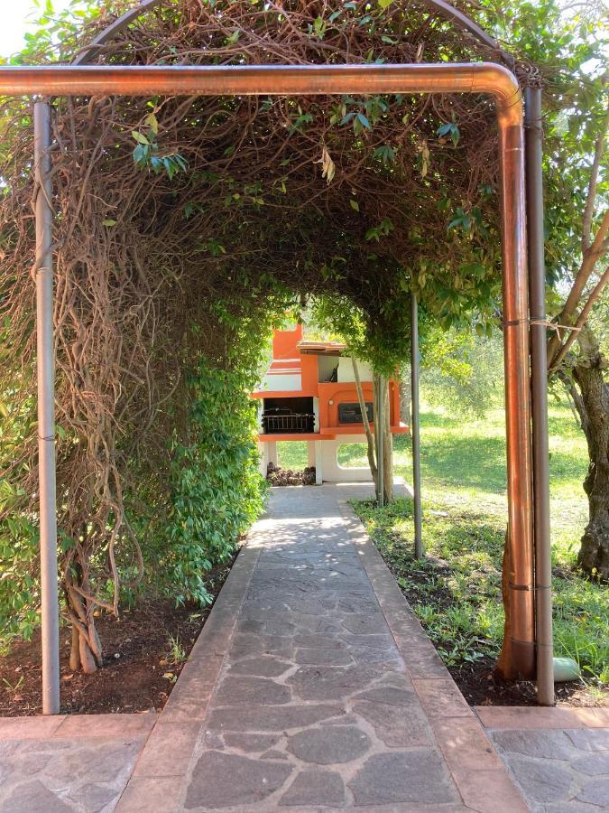 Agriturismo Buen Camino Scarlino Luaran gambar
